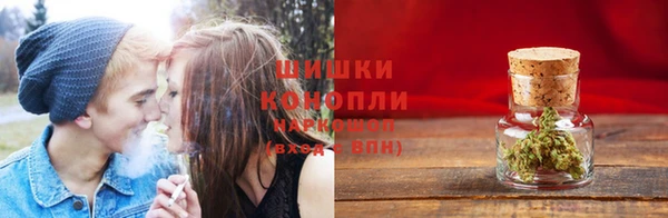 кокс Белокуриха