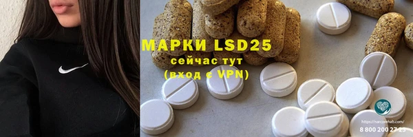индика Покров