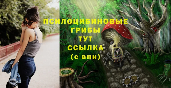 PSILOCYBIN Белоозёрский
