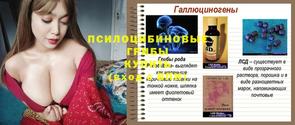 PSILOCYBIN Белоозёрский